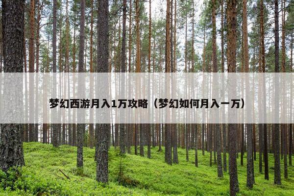 梦幻西游月入1万攻略（梦幻如何月入一万）