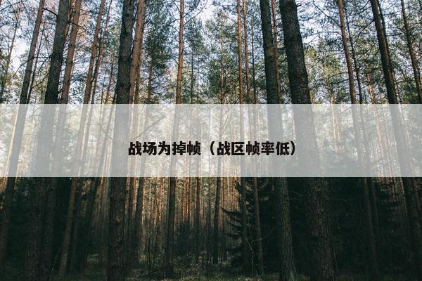 战场为掉帧（战区帧率低）