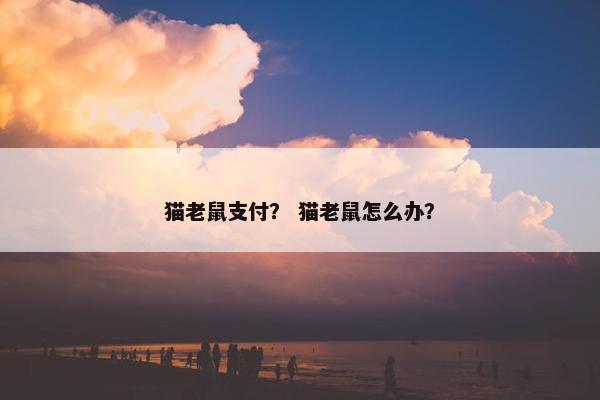 猫老鼠支付？ 猫老鼠怎么办？