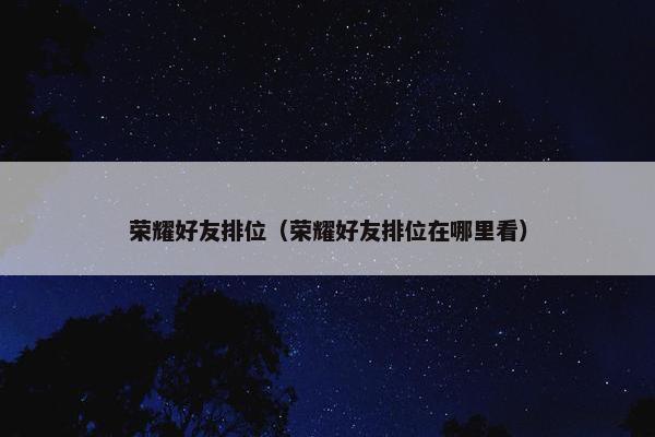 荣耀好友排位（荣耀好友排位在哪里看）