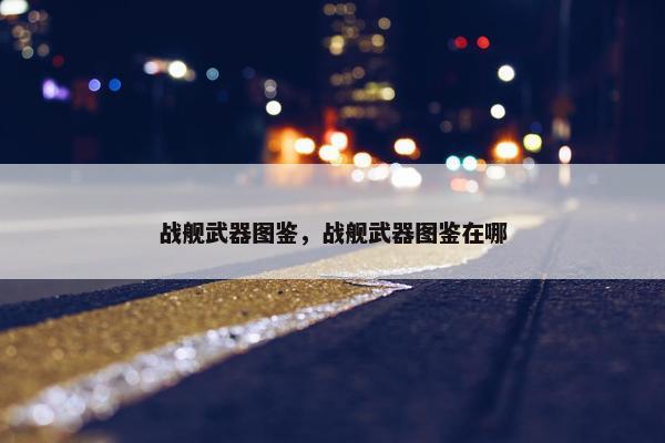 战舰武器图鉴，战舰武器图鉴在哪