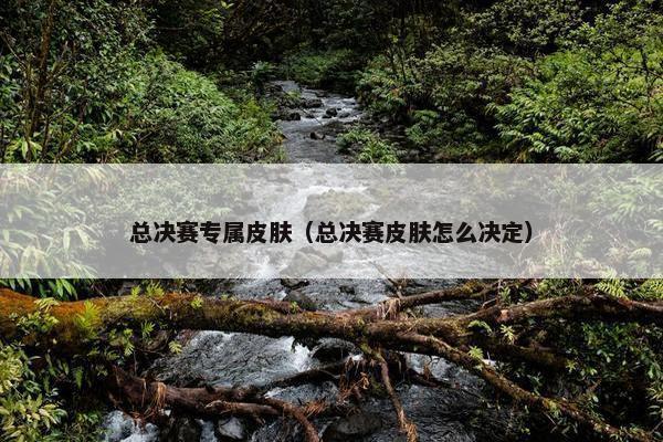 总决赛专属皮肤（总决赛皮肤怎么决定）