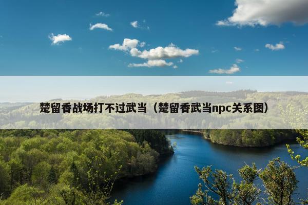 楚留香战场打不过武当（楚留香武当npc关系图）