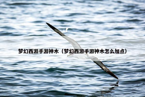 梦幻西游手游神木（梦幻西游手游神木怎么加点）