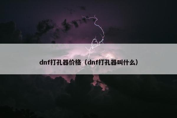 dnf打孔器价格（dnf打孔器叫什么）