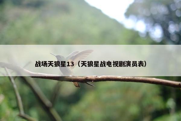 战场天狼星13（天狼星战电视剧演员表）
