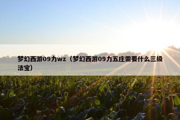 梦幻西游09力wz（梦幻西游09力五庄需要什么三级法宝）