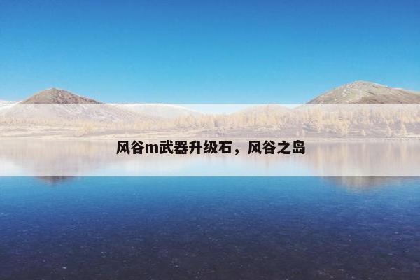 风谷m武器升级石，风谷之岛