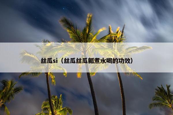 丝瓜si（丝瓜丝瓜瓤煮水喝的功效）