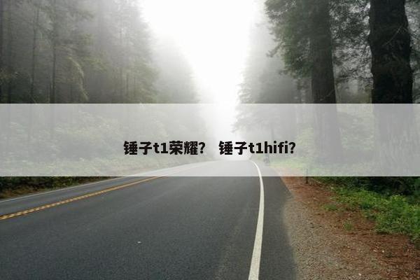 锤子t1荣耀？ 锤子t1hifi？