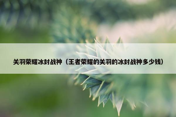 关羽荣耀冰封战神（王者荣耀的关羽的冰封战神多少钱）