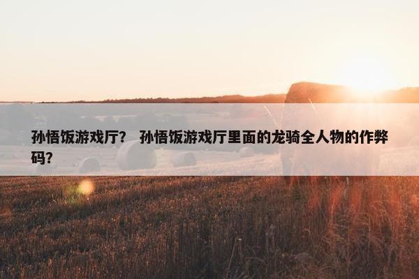 孙悟饭游戏厅？ 孙悟饭游戏厅里面的龙骑全人物的作弊码？