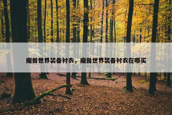 魔兽世界装备衬衣，魔兽世界装备衬衣在哪买