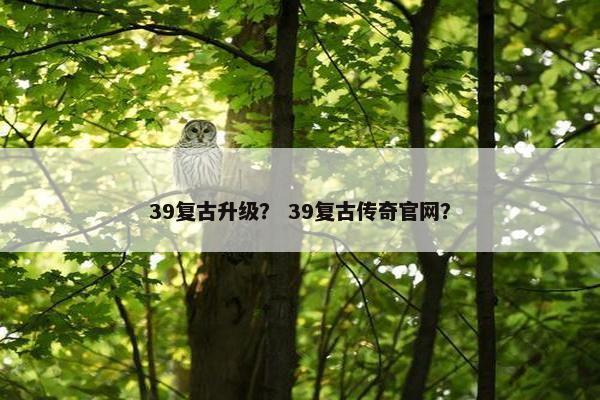 39复古升级？ 39复古传奇官网？