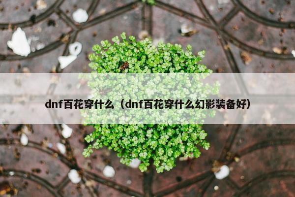 dnf百花穿什么（dnf百花穿什么幻影装备好）
