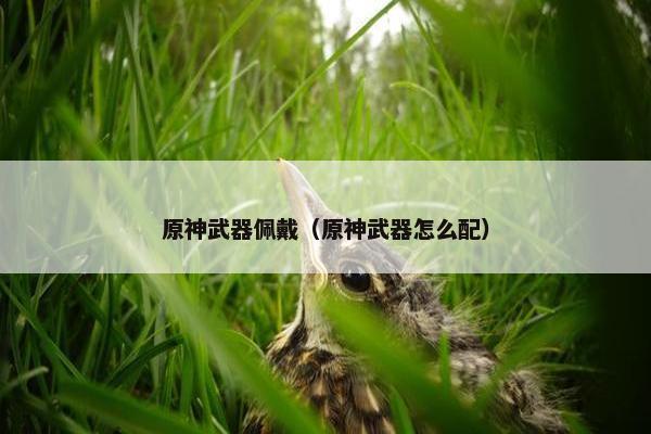 原神武器佩戴（原神武器怎么配）