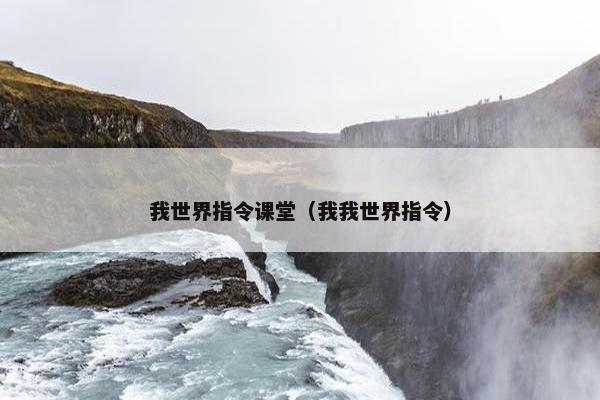我世界指令课堂（我我世界指令）
