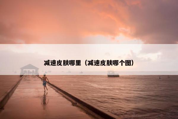 减速皮肤哪里（减速皮肤哪个图）
