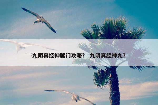 九阴真经神腿门攻略？ 九阴真经神九？