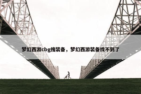 梦幻西游cbg搜装备，梦幻西游装备找不到了