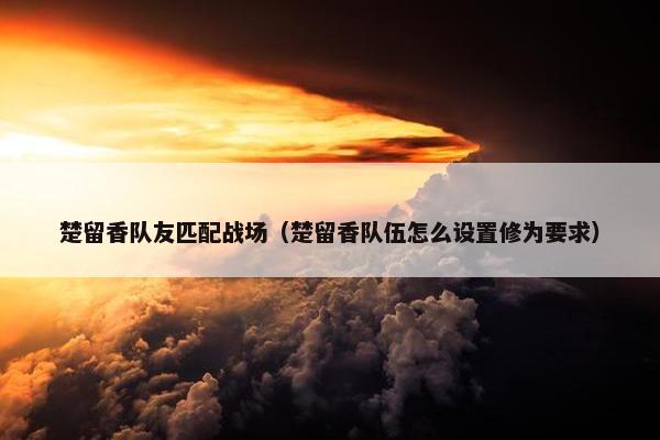 楚留香队友匹配战场（楚留香队伍怎么设置修为要求）