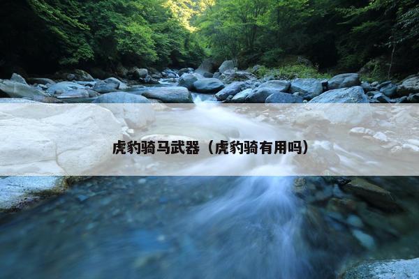 虎豹骑马武器（虎豹骑有用吗）