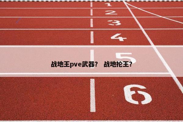 战地王pve武器？ 战地抡王？
