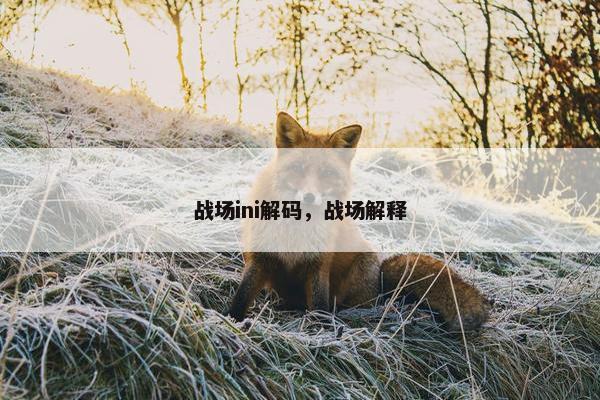 战场ini解码，战场解释