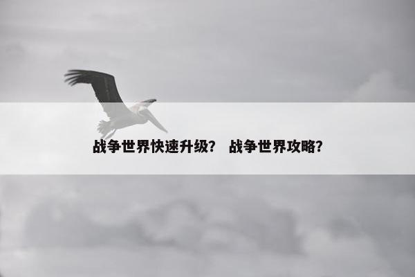 战争世界快速升级？ 战争世界攻略？