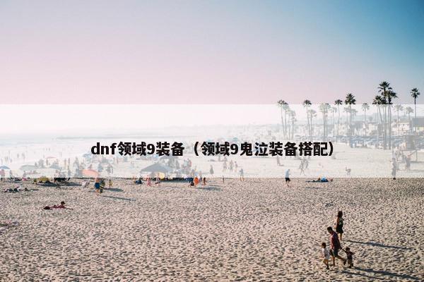 dnf领域9装备（领域9鬼泣装备搭配）