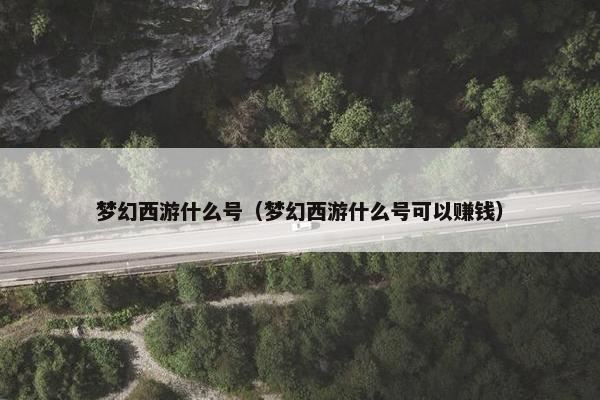 梦幻西游什么号（梦幻西游什么号可以赚钱）