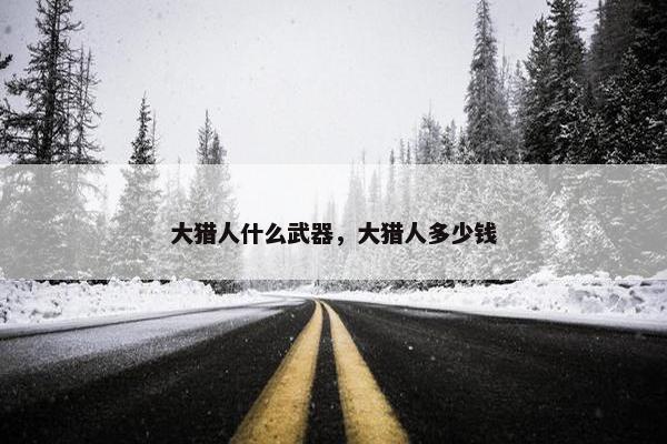 大猎人什么武器，大猎人多少钱