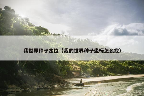 我世界种子定位（我的世界种子坐标怎么找）