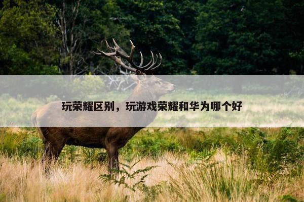 玩荣耀区别，玩游戏荣耀和华为哪个好