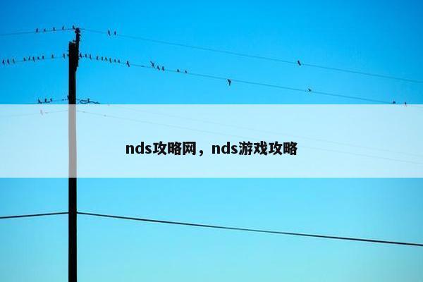 nds攻略网，nds游戏攻略