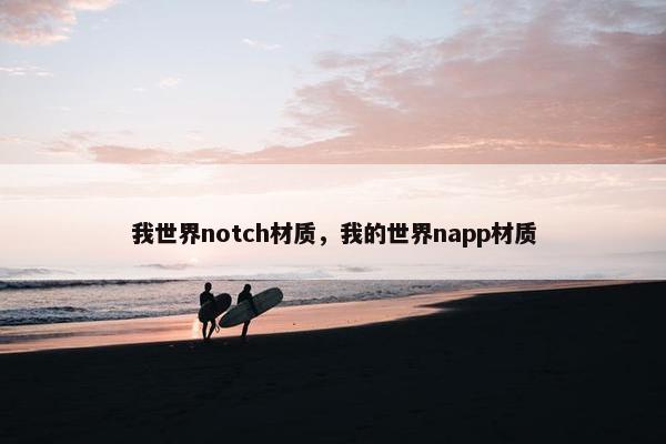 我世界notch材质，我的世界napp材质