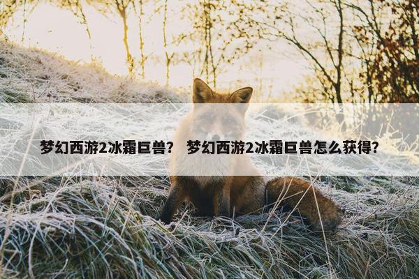 梦幻西游2冰霜巨兽？ 梦幻西游2冰霜巨兽怎么获得？