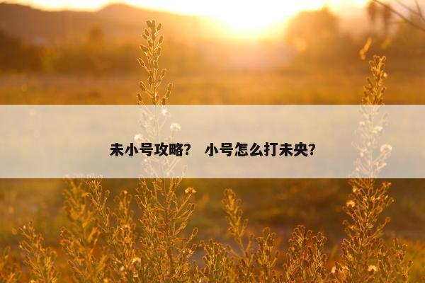 未小号攻略？ 小号怎么打未央？