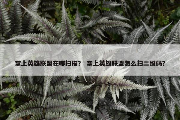 掌上英雄联盟在哪扫描？ 掌上英雄联盟怎么扫二维码？