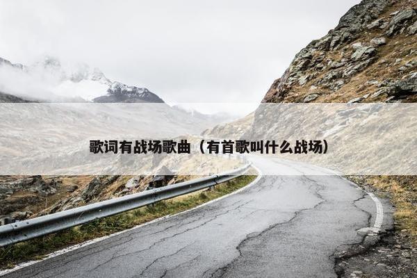 歌词有战场歌曲（有首歌叫什么战场）