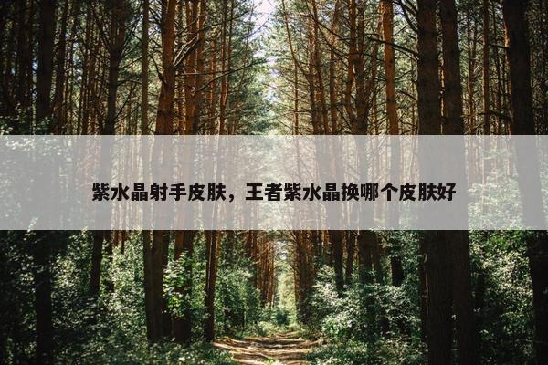 紫水晶射手皮肤，王者紫水晶换哪个皮肤好