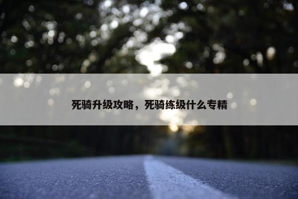 死骑升级攻略，死骑练级什么专精