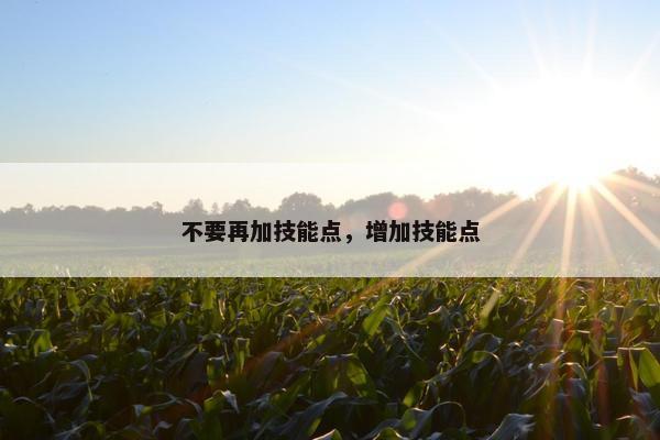 不要再加技能点，增加技能点