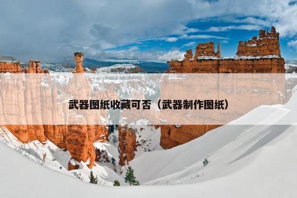 武器图纸收藏可否（武器制作图纸）