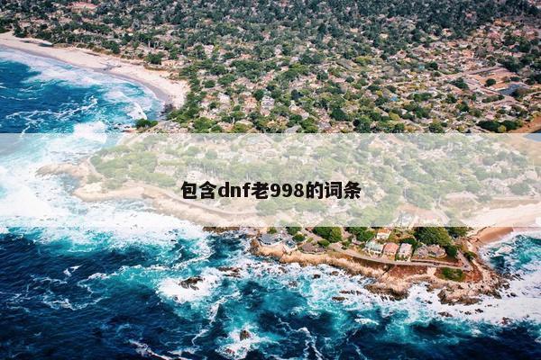 包含dnf老998的词条