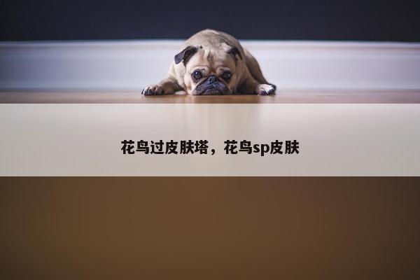 花鸟过皮肤塔，花鸟sp皮肤