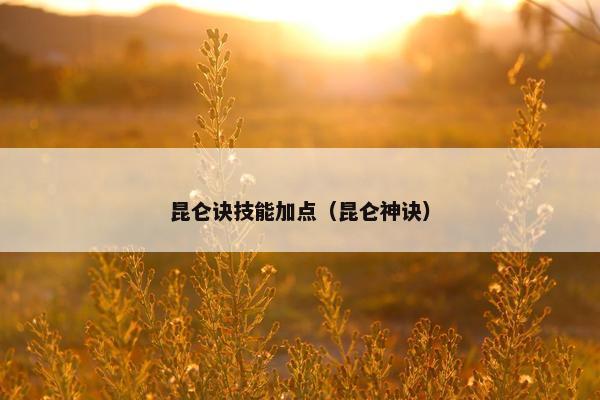 昆仑诀技能加点（昆仑神诀）
