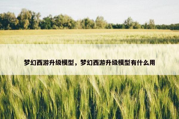 梦幻西游升级模型，梦幻西游升级模型有什么用