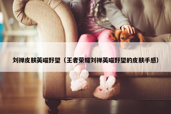 刘禅皮肤英喵野望（王者荣耀刘禅英喵野望的皮肤手感）