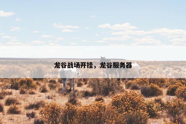 龙谷战场开挂，龙谷服务器